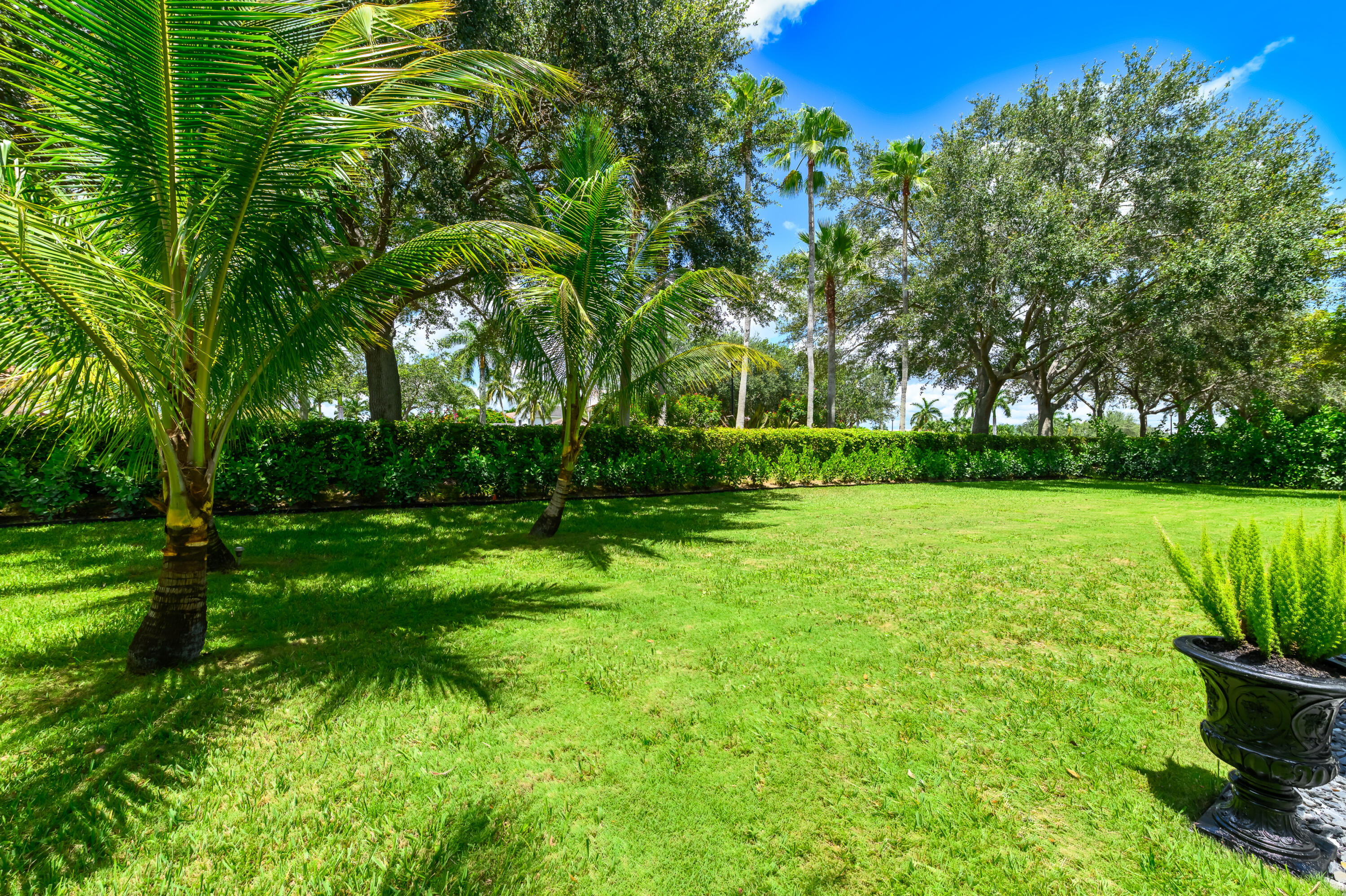 4661 Manderly Drive Property Photo 33