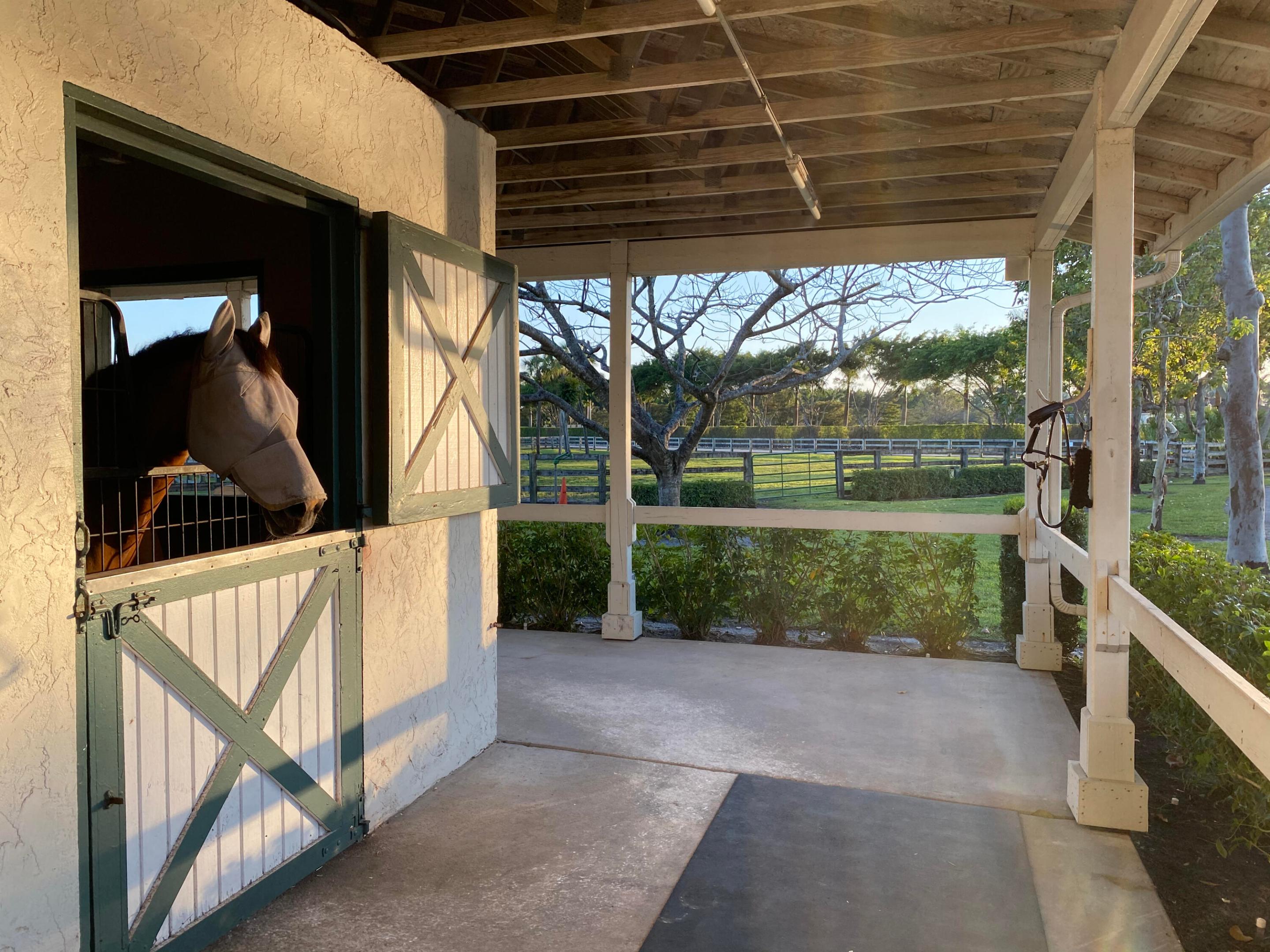 5110 S Shore Boulevard Property Photo 11