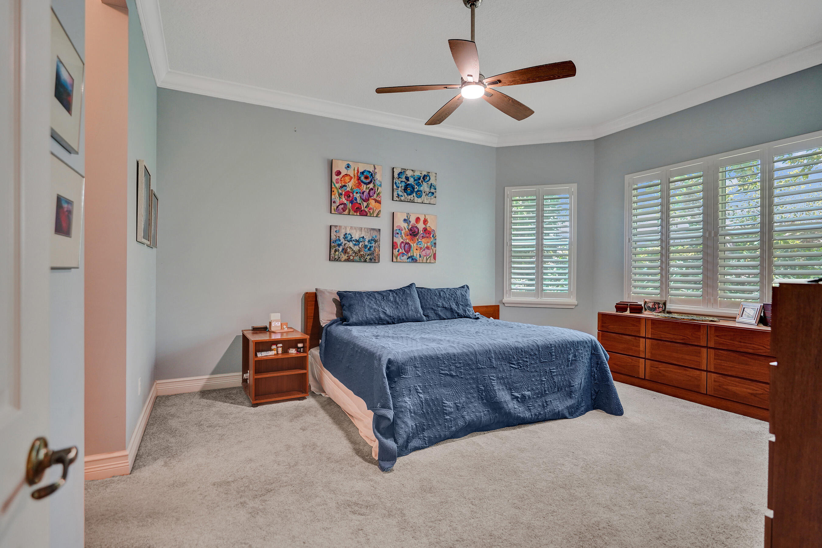 8703 Carmel Mountain Way Property Photo 37