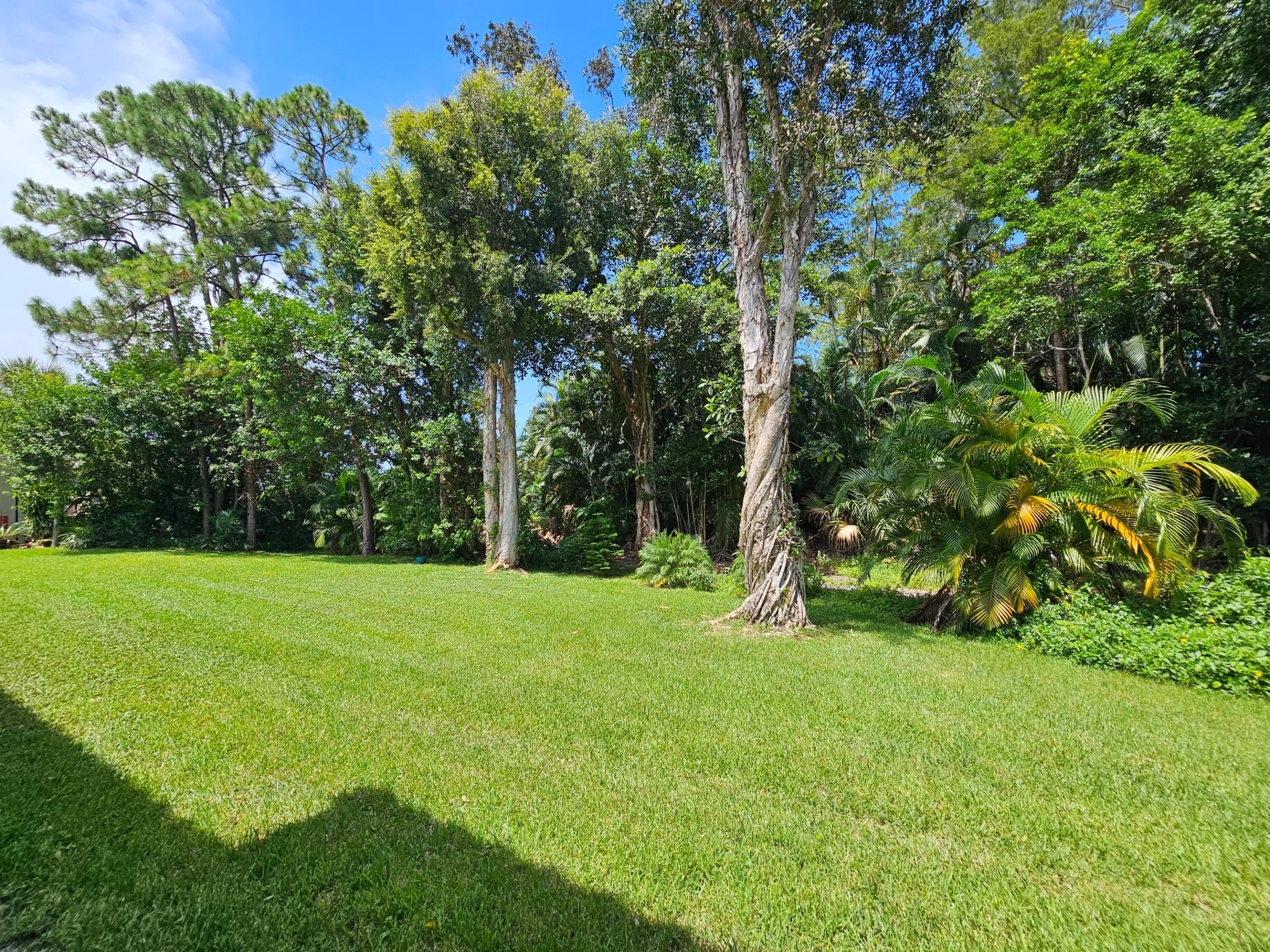 21864 Arriba Real 3d Property Photo 22