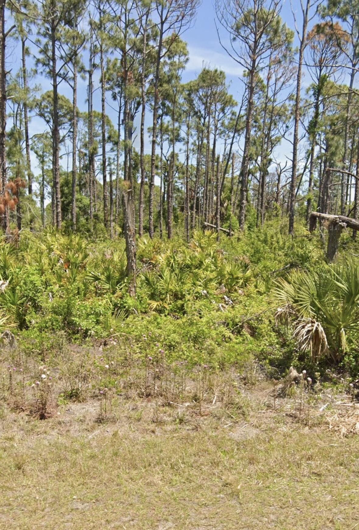 7430 Coach Road Property Photo 1