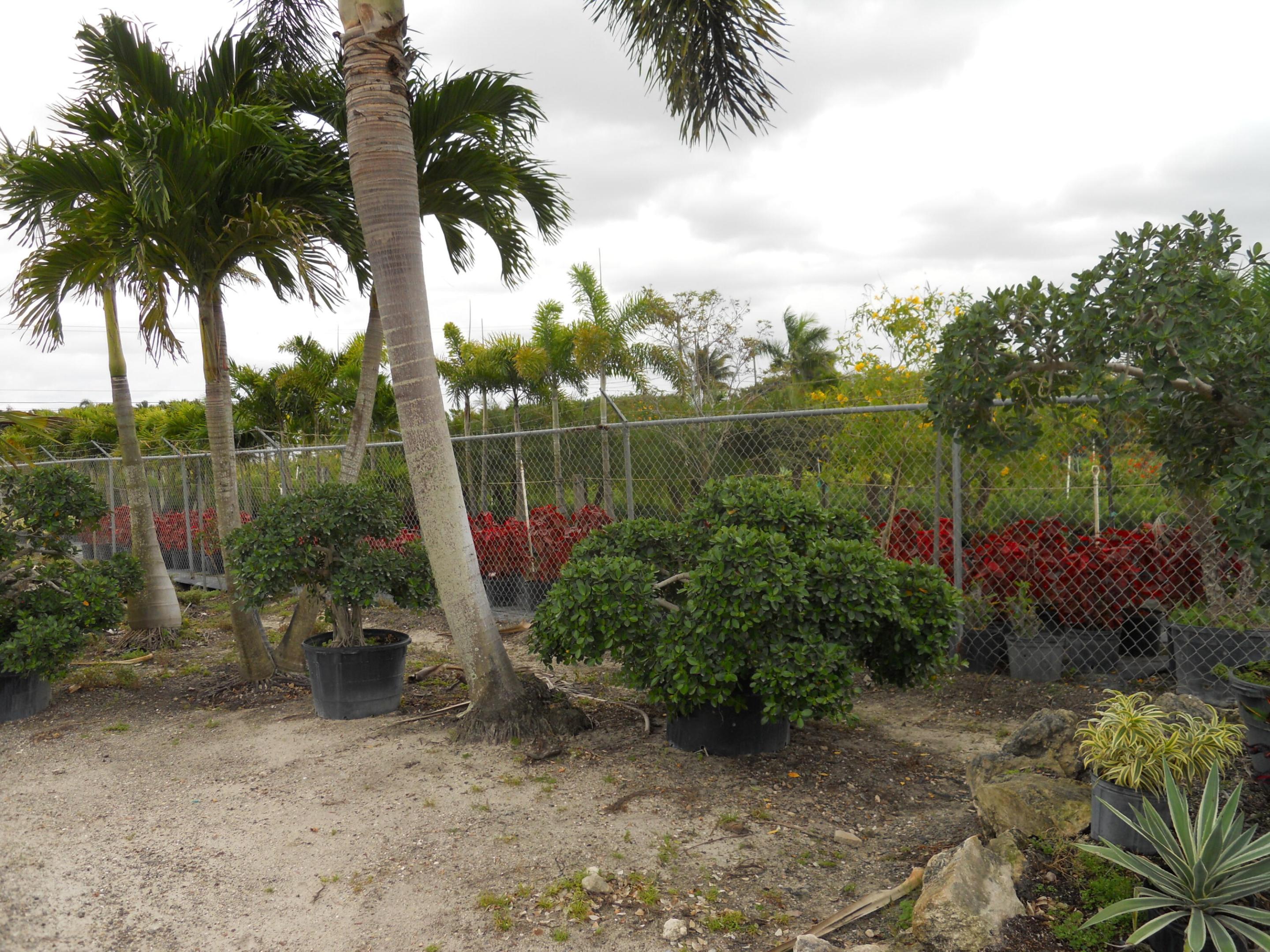 0000 Boynton Beach Blvd Property Photo 5