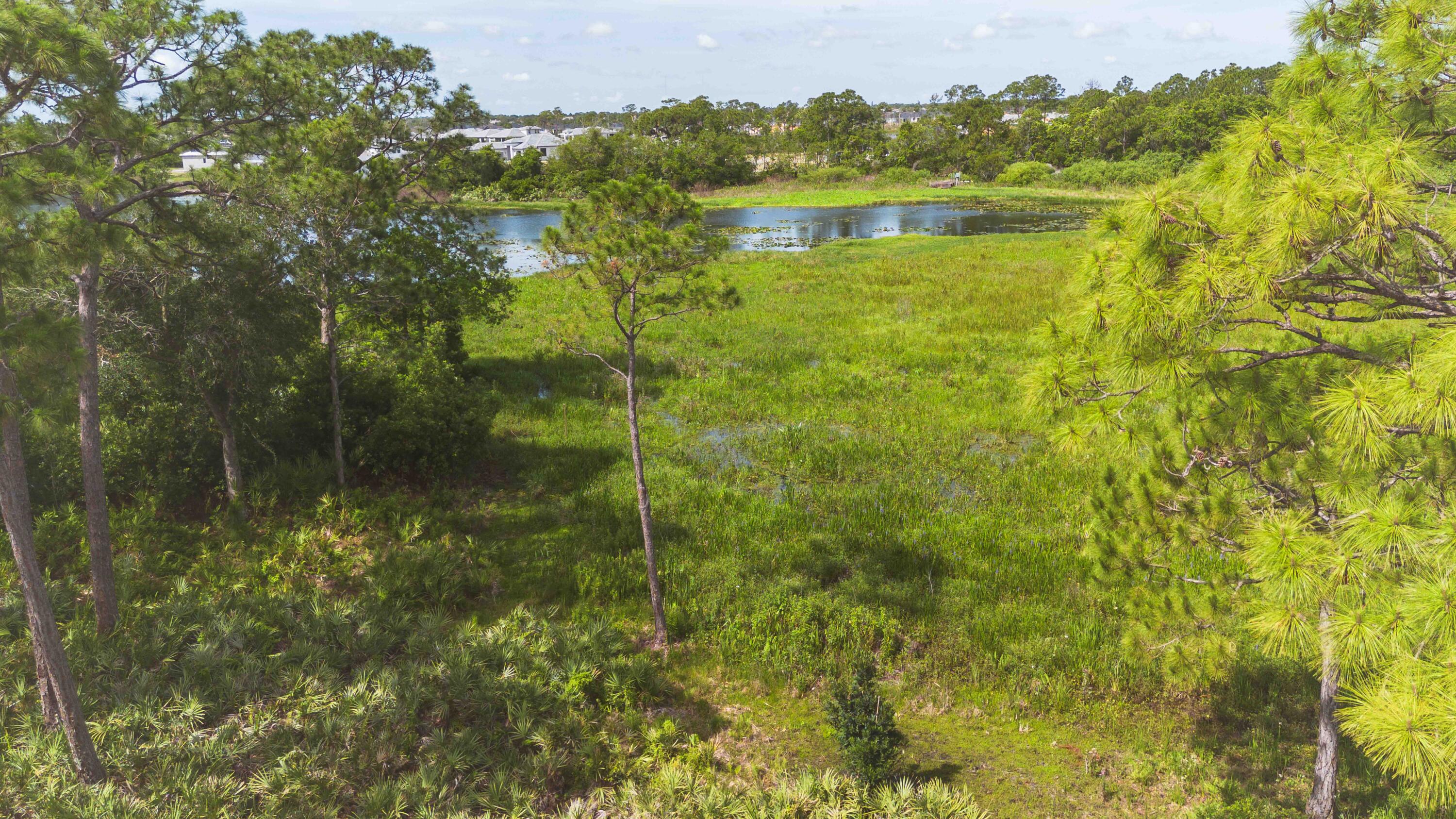 13464 Harbour Ridge Boulevard 8 Property Photo 3