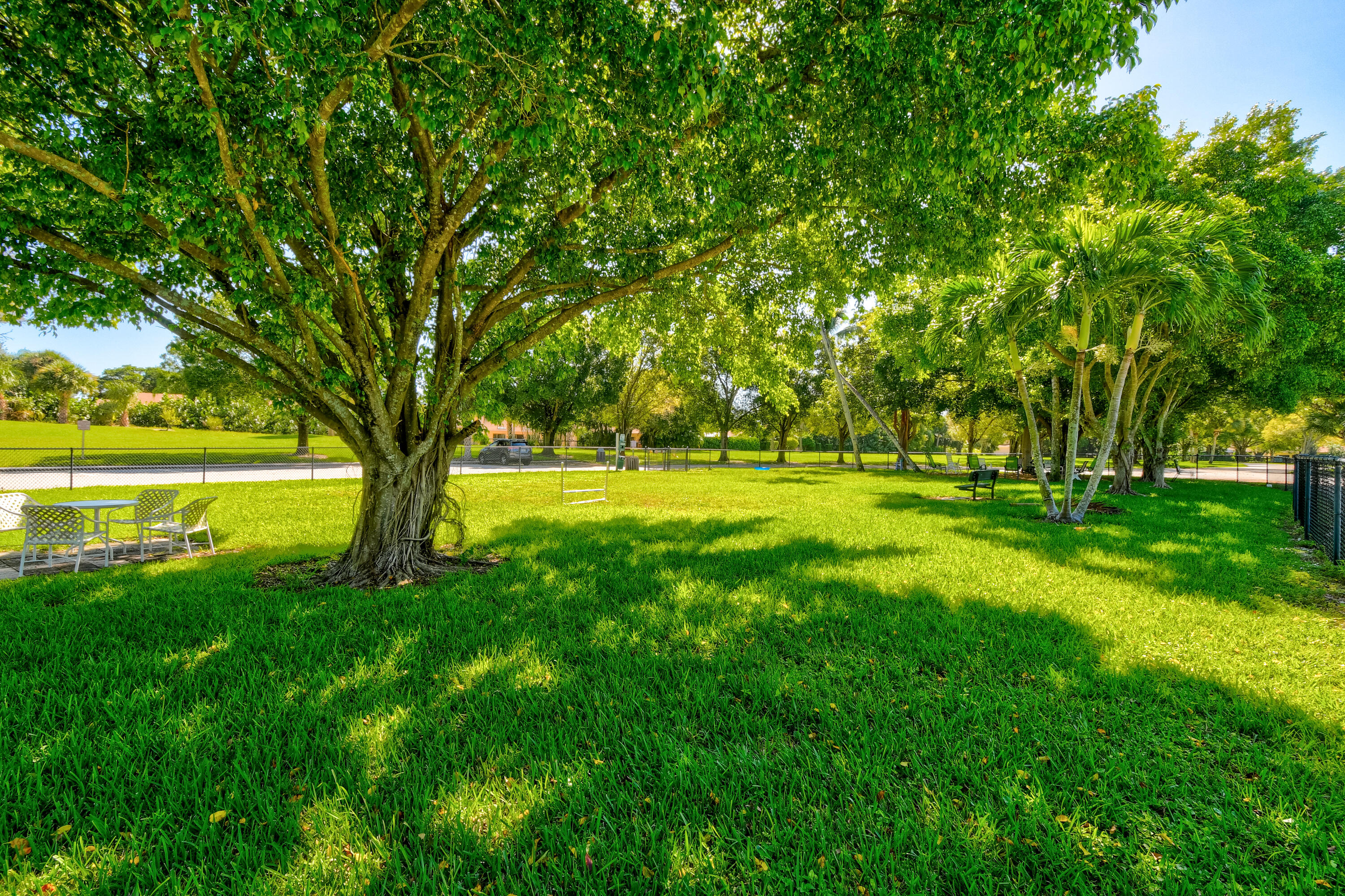 137 Harbourside Circle Property Photo 39