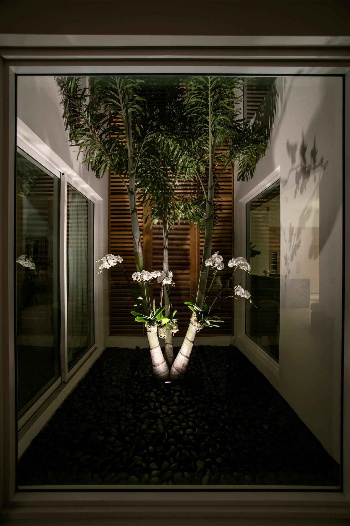 3667 Toulouse Drive Property Photo 15