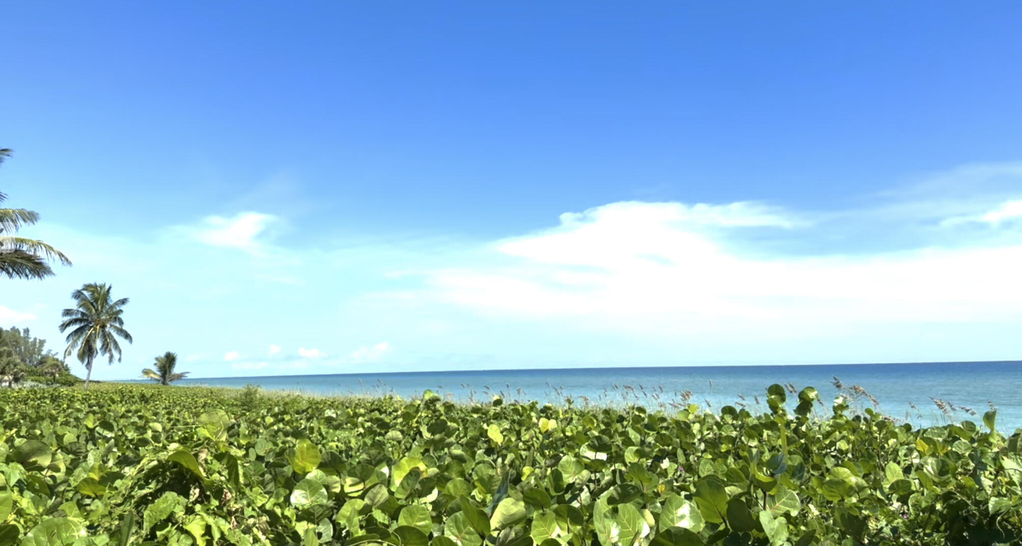 50 Celestial Way 305 Property Photo 20