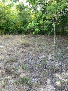 0 Gardenia Drive Property Photo 13