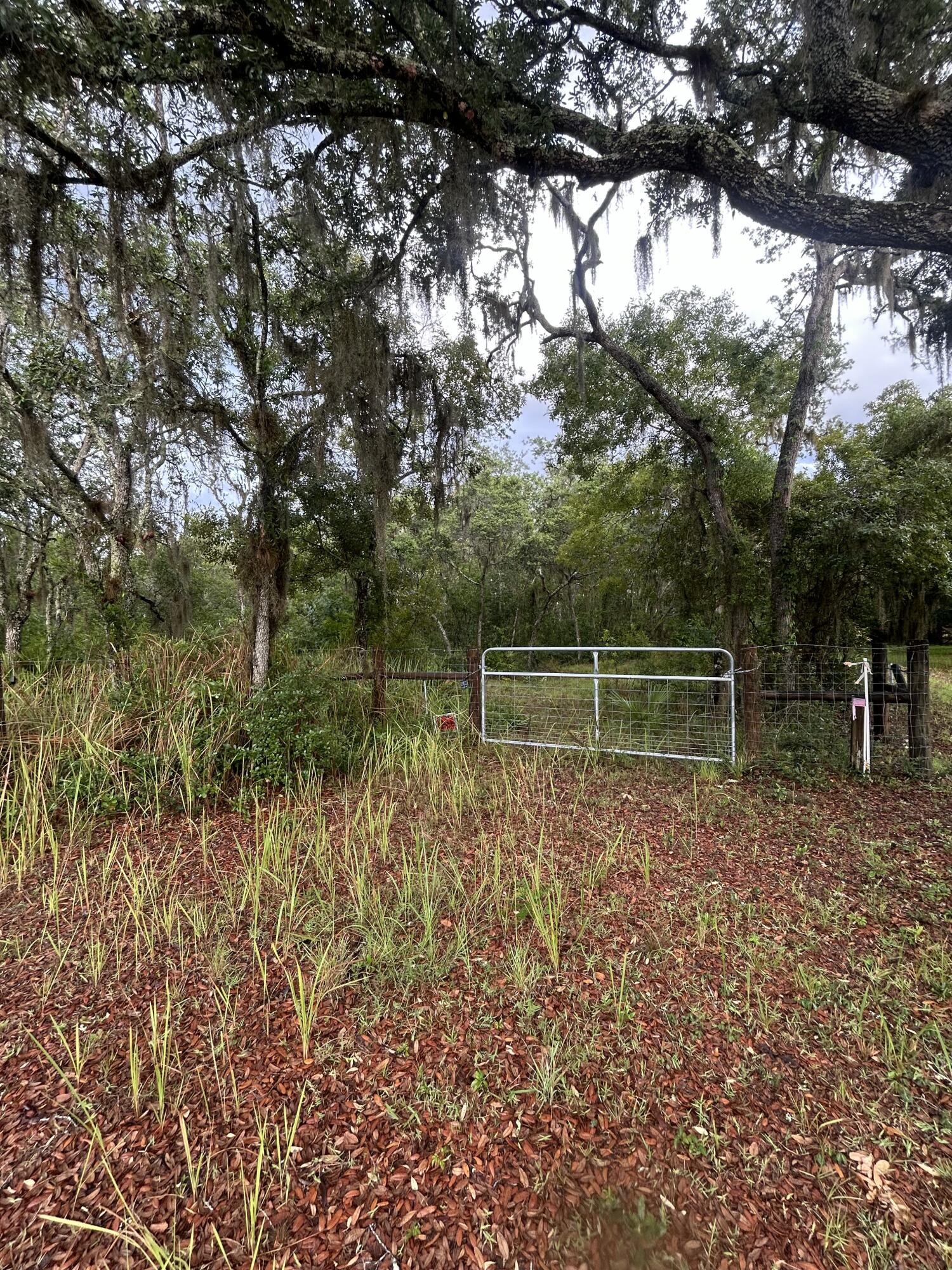 0 Scrub Jay Trail Property Photo 1