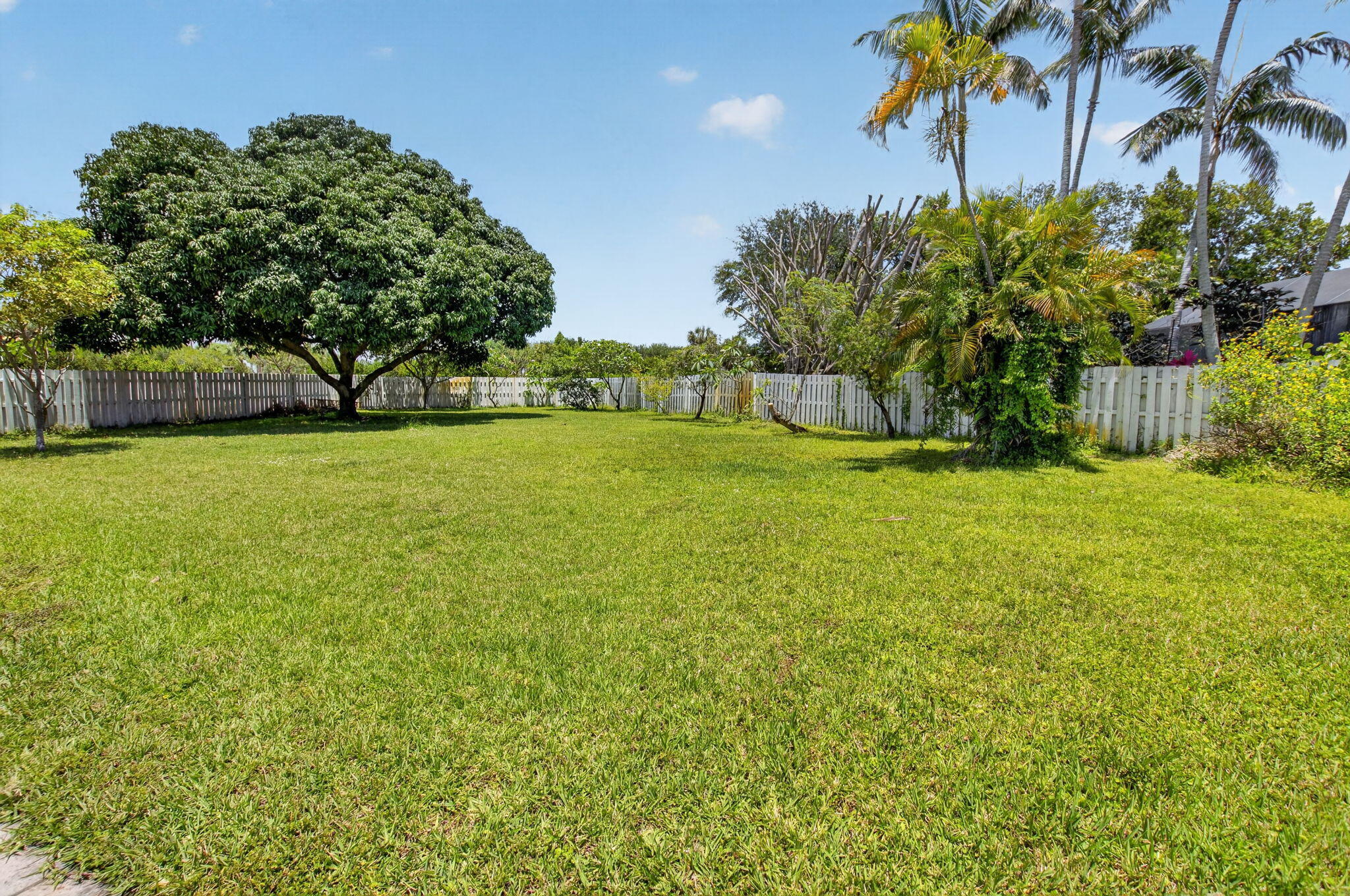 6207 Shadow Tree Lane Property Photo 49
