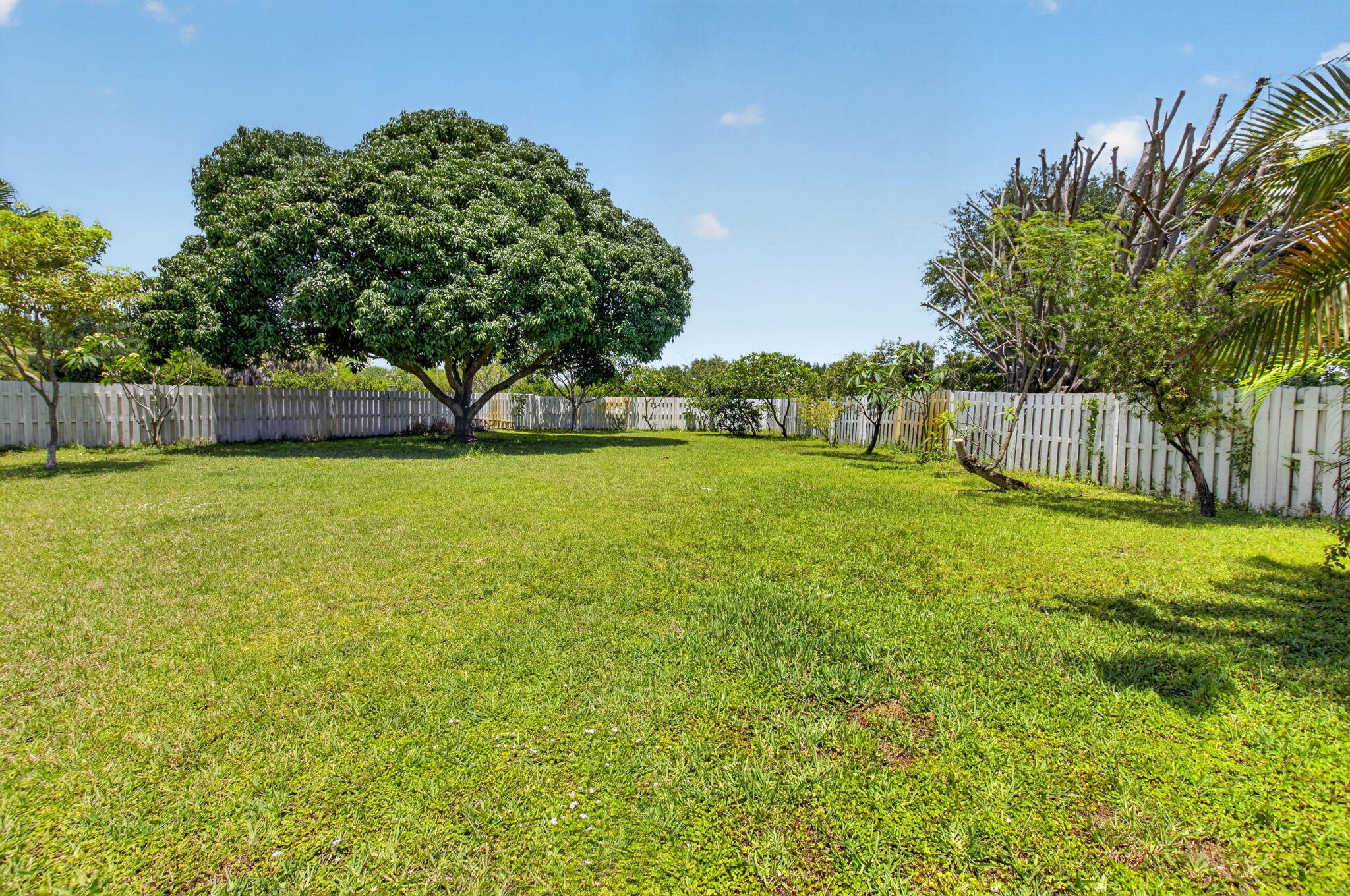 6207 Shadow Tree Lane Property Photo 50