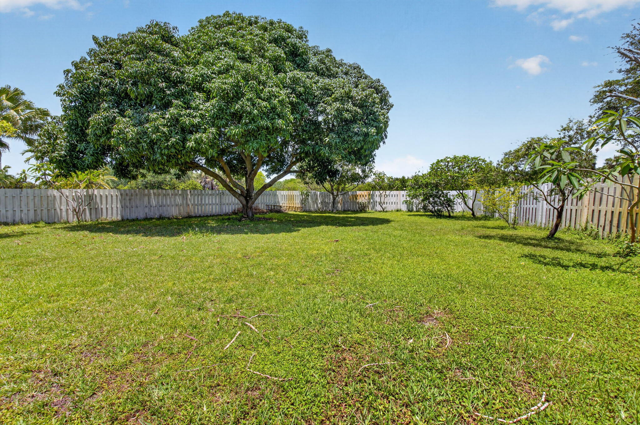 6207 Shadow Tree Lane Property Photo 51
