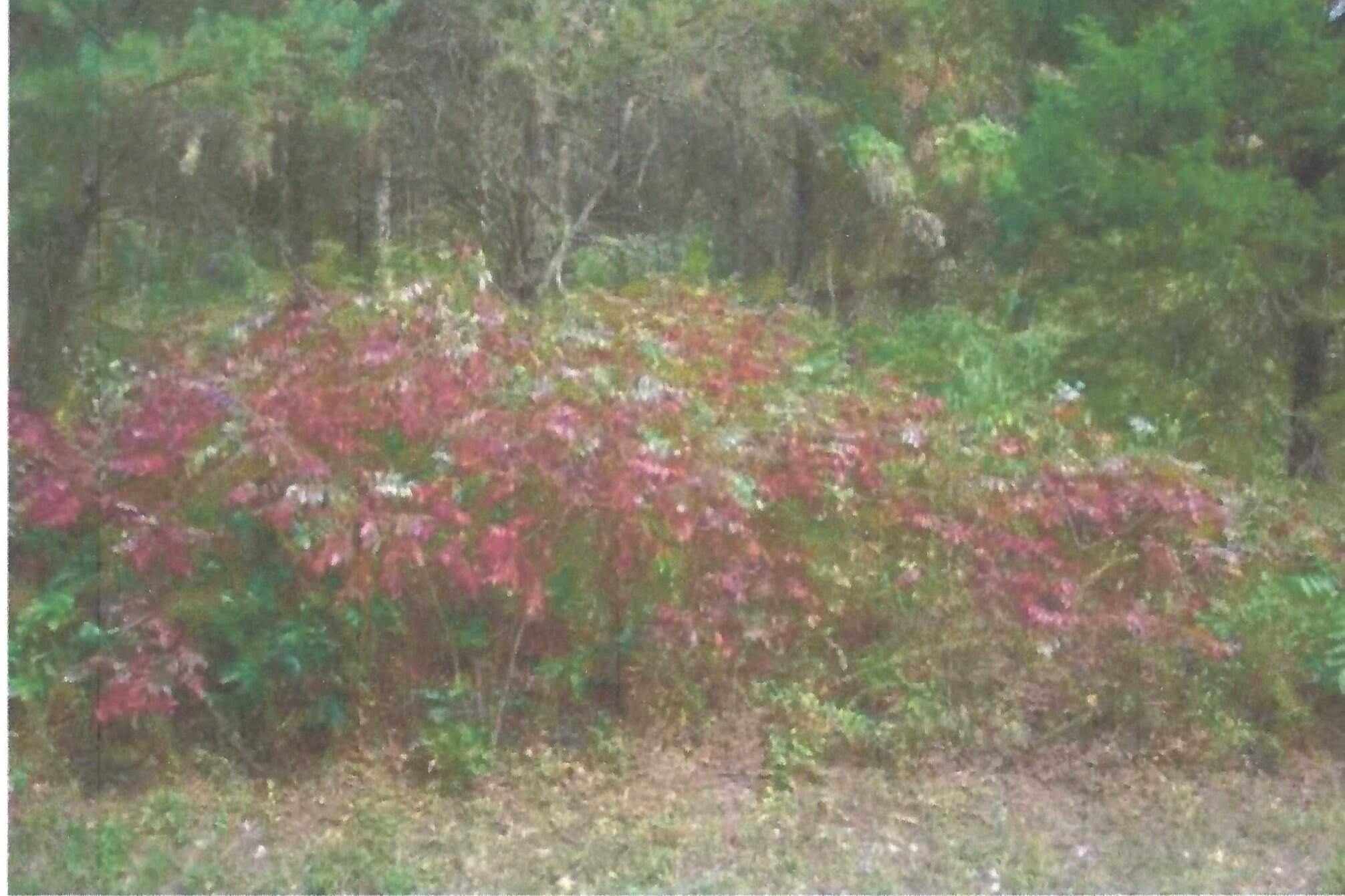 103 Amega Lane Property Photo 1