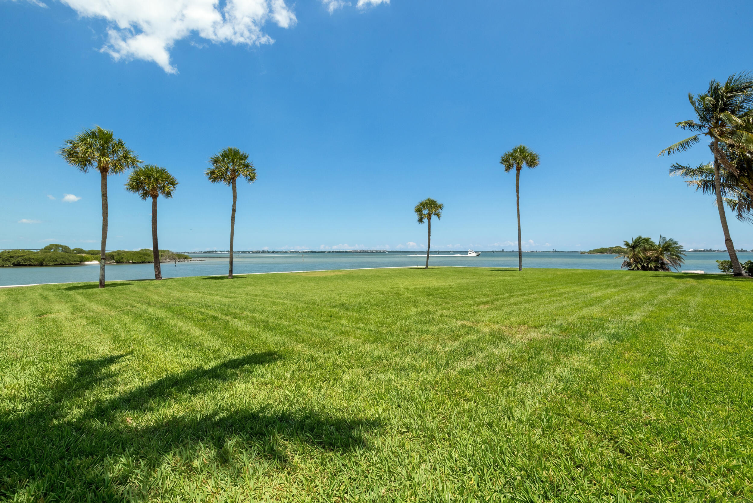 6 Timor Street Property Photo 15