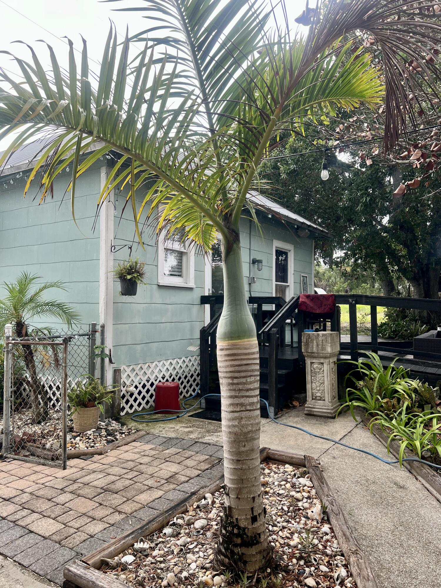 208 Avenue E Property Photo 59