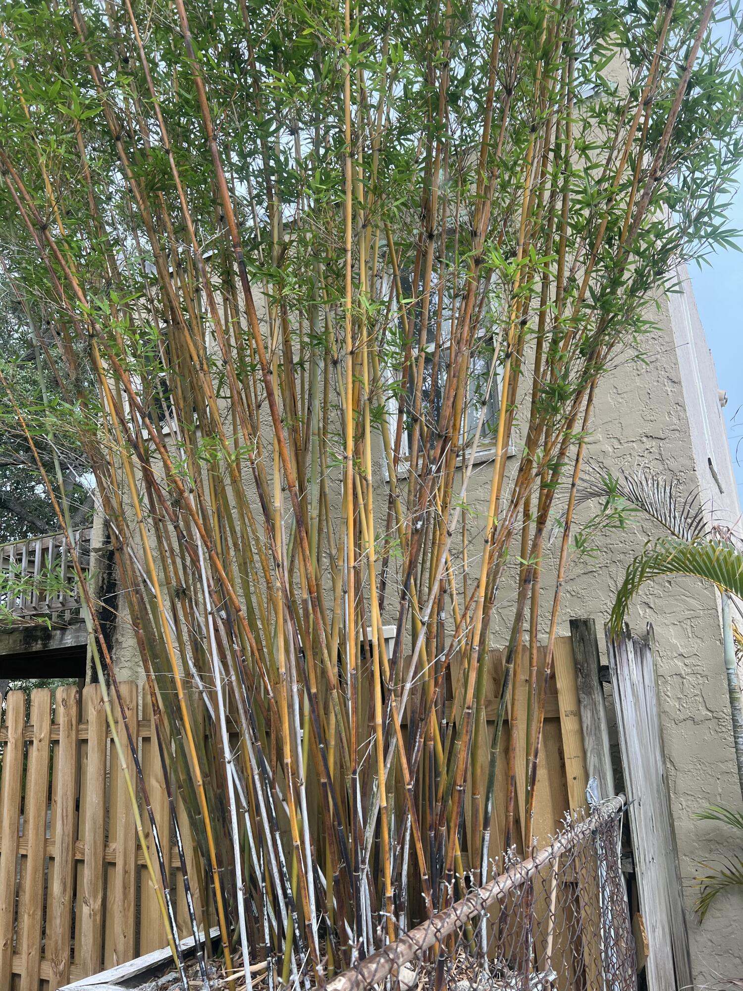 208 Avenue E Property Photo 62