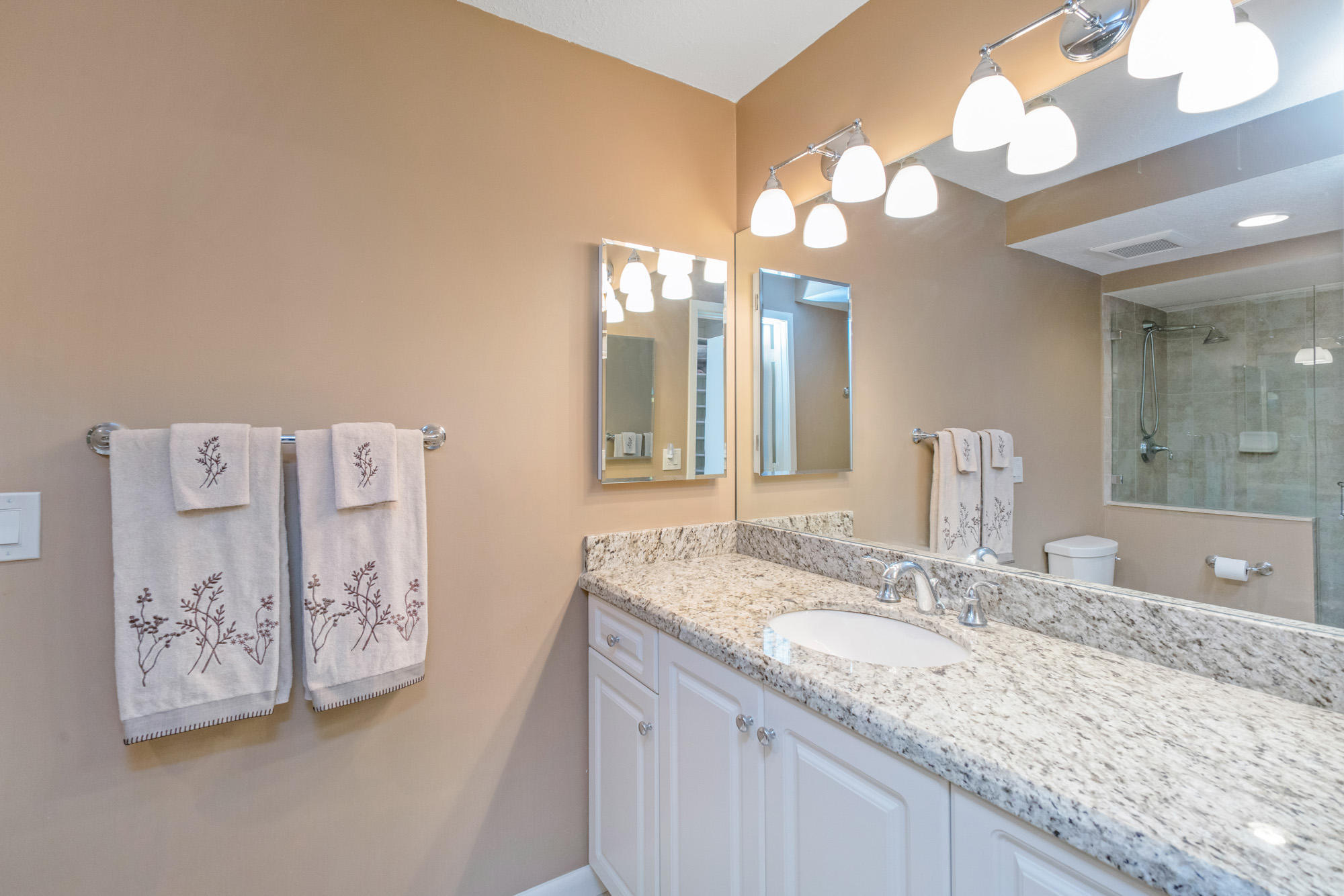 135 Old Meadow Way Property Photo 15