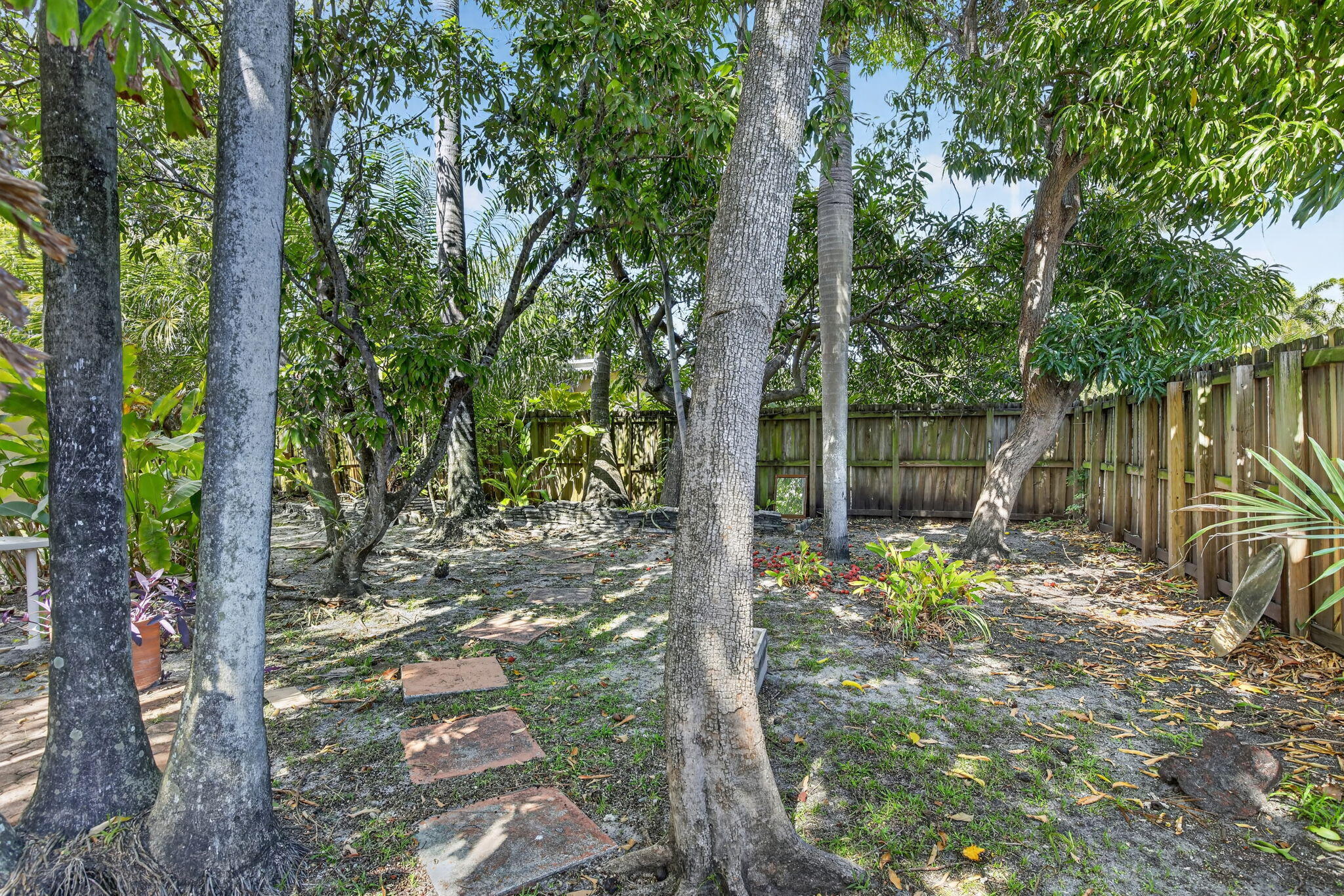 742 Hollywood Boulevard Property Photo 33
