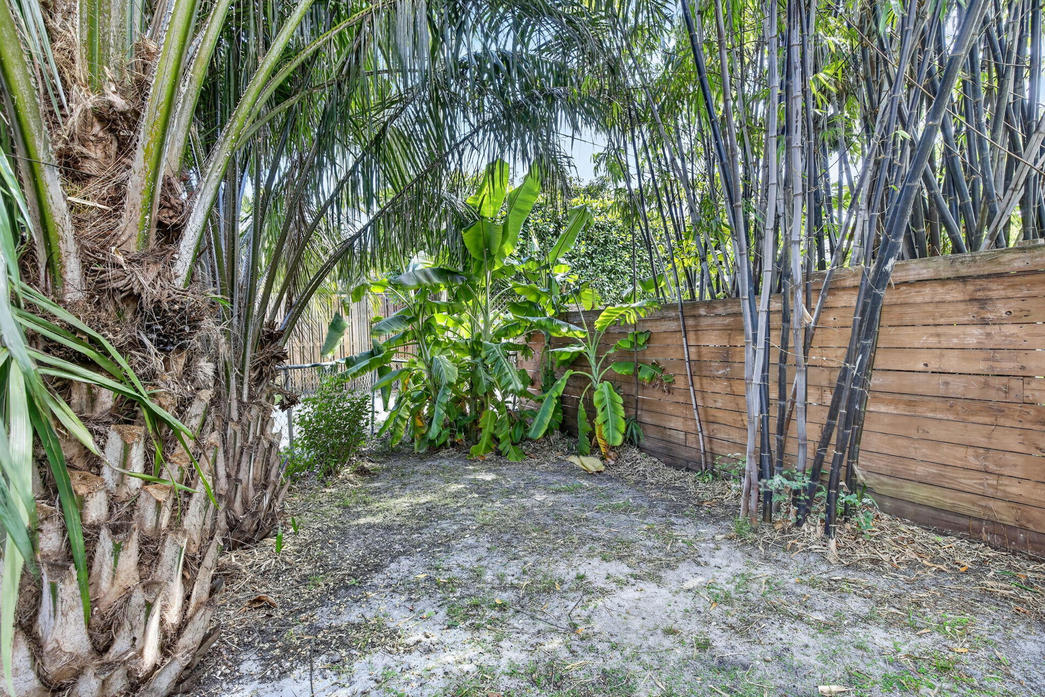 742 Hollywood Boulevard Property Photo 39
