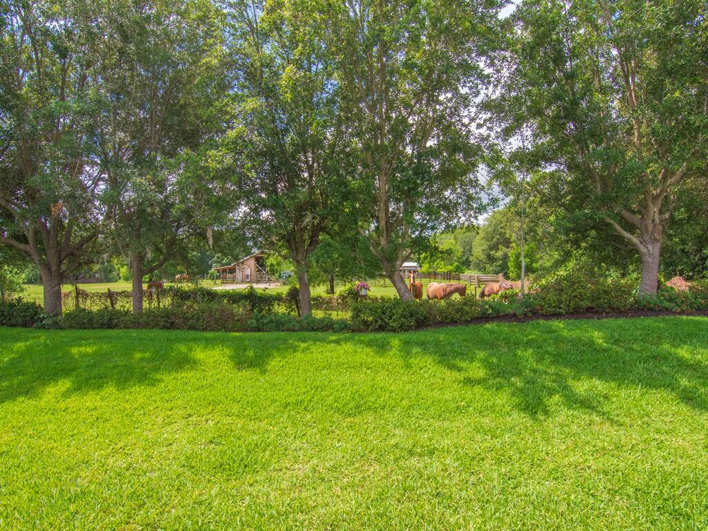 1340 Willow Oak Court Property Photo 9