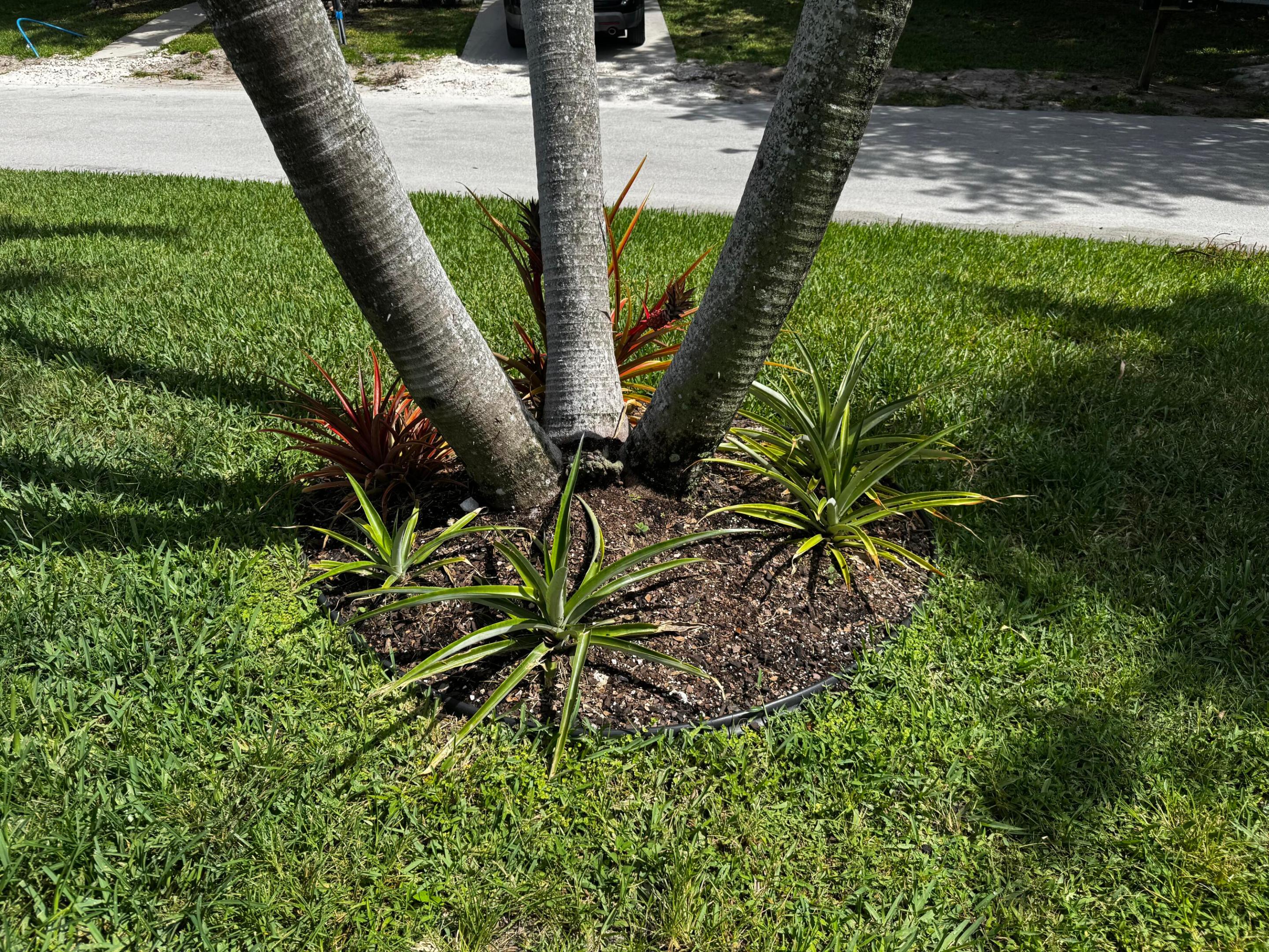4081 4th Court Property Photo 12