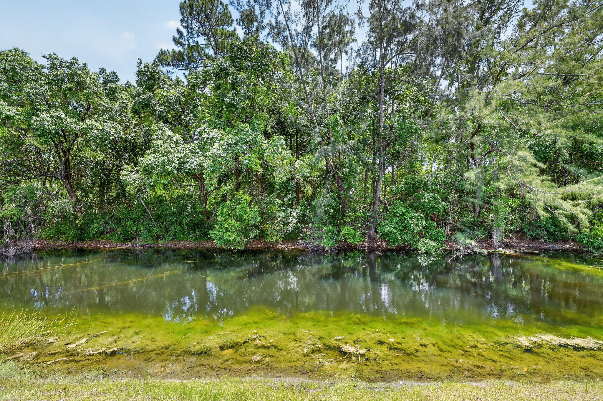 112 Lake Olive Drive Property Photo 41