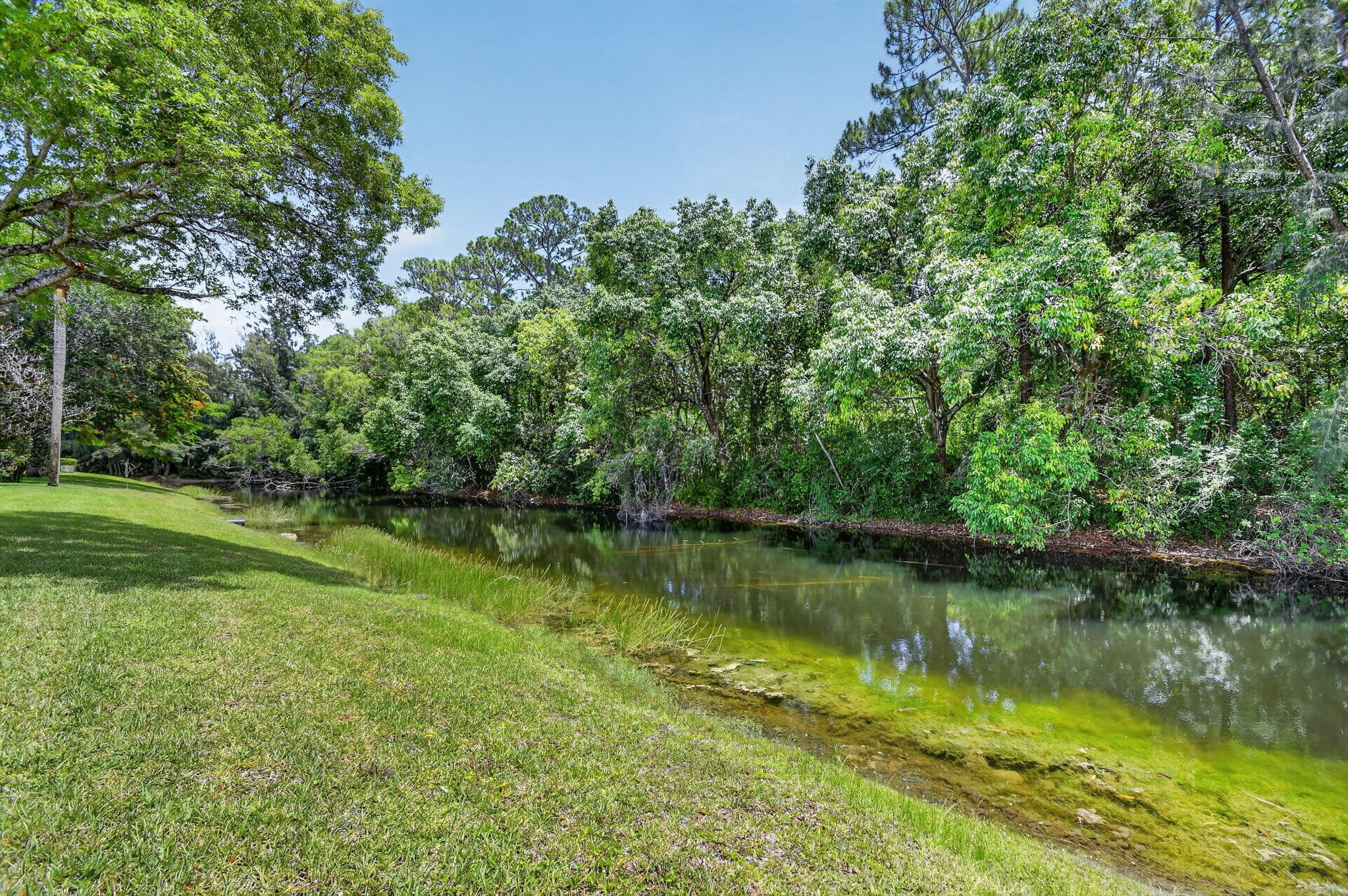 112 Lake Olive Drive Property Photo 43