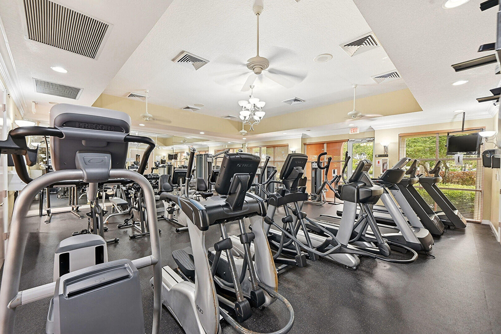 310 Venice Boulevard Property Photo 43