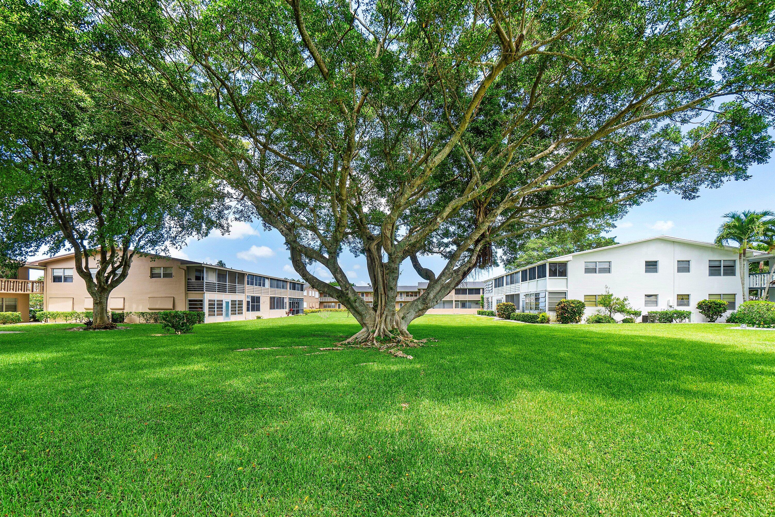 57 Canterbury Property Photo 25
