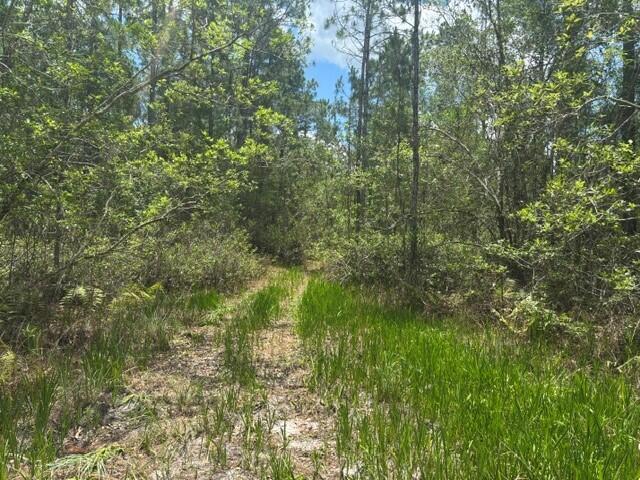 0 Water Road Property Photo 1
