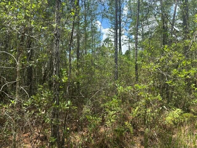 0 Water Road Property Photo 3