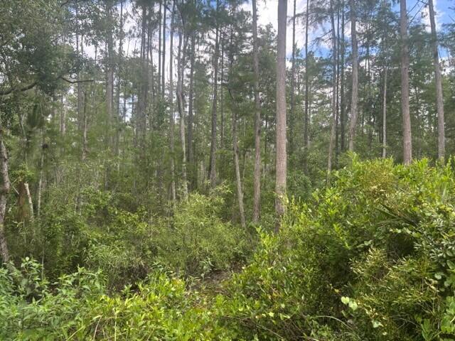 0 Water Road Property Photo 2