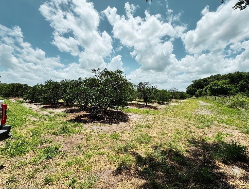 115 Heinley Road Property Photo 15