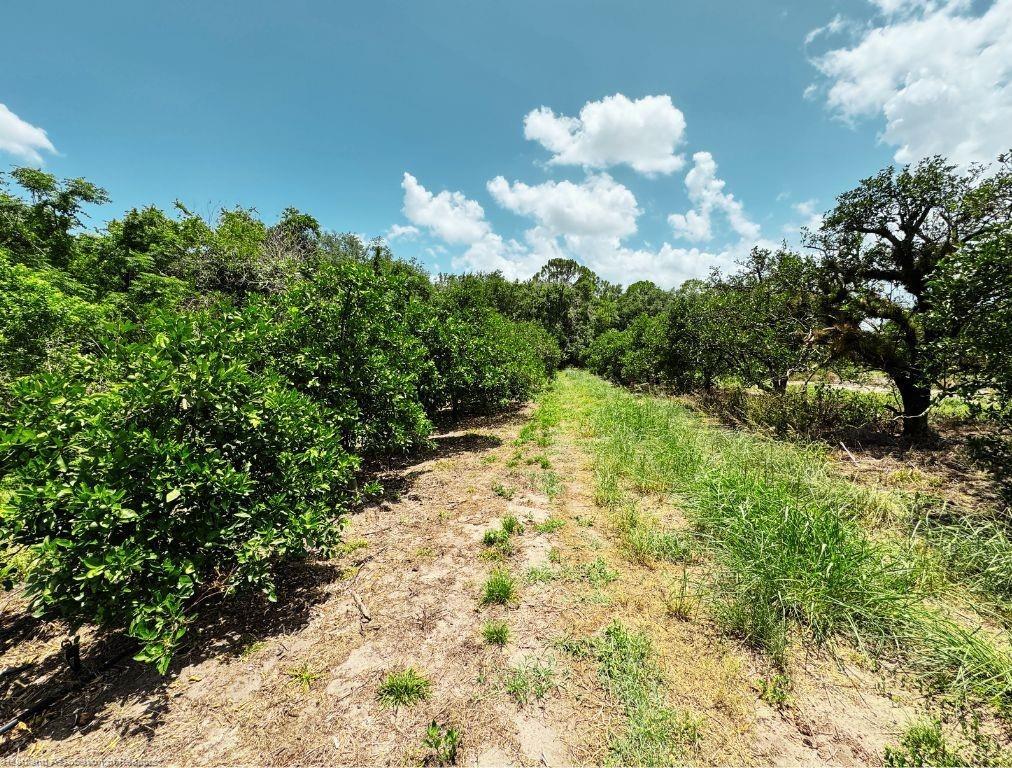 115 Heinley Road Property Photo 17