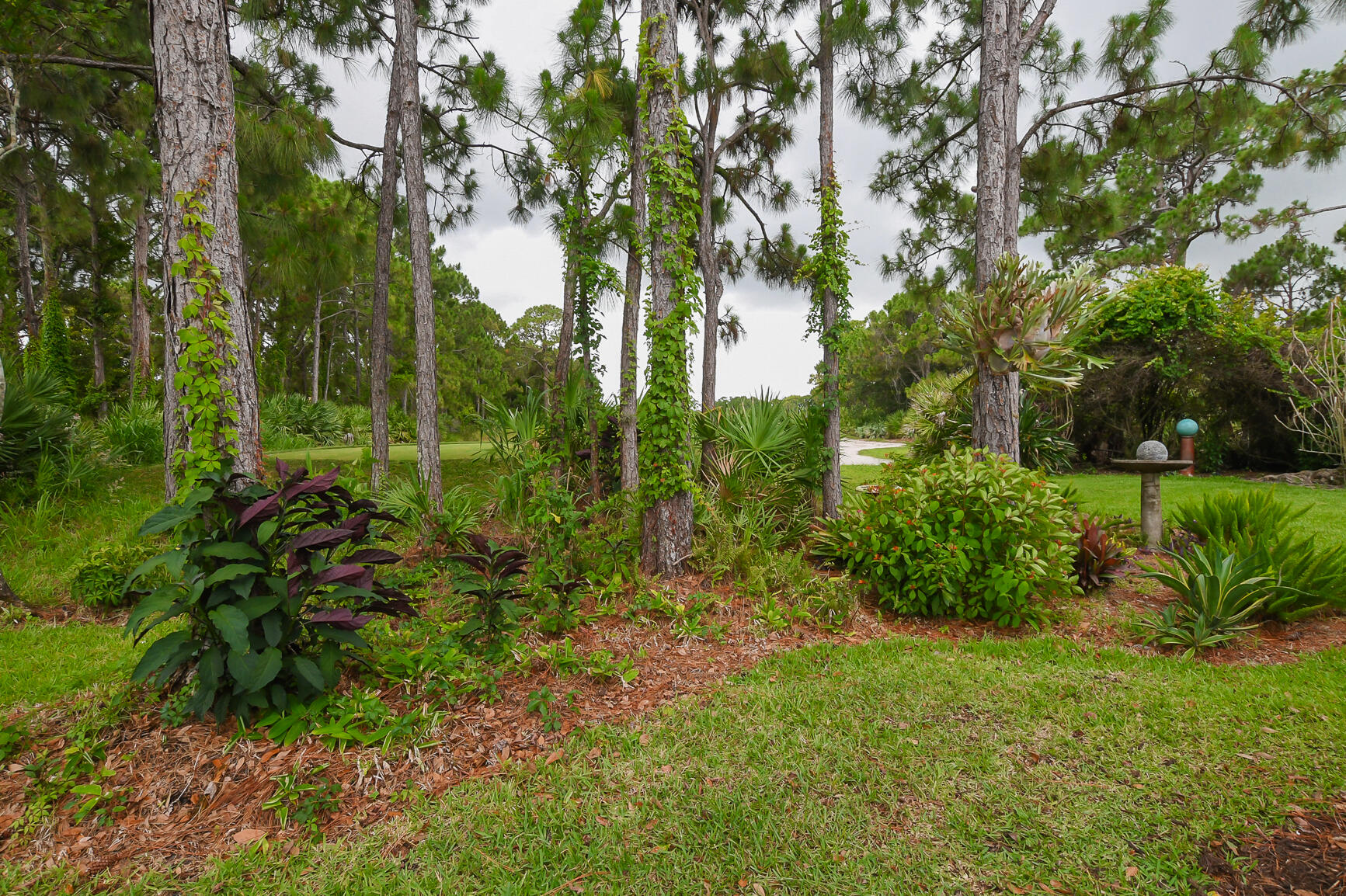 9172 Pumpkin Ridge Property Photo 46