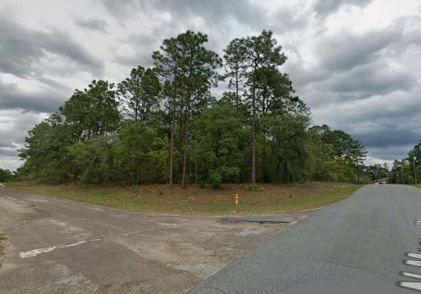 9239 N Marcus Way Property Photo 4