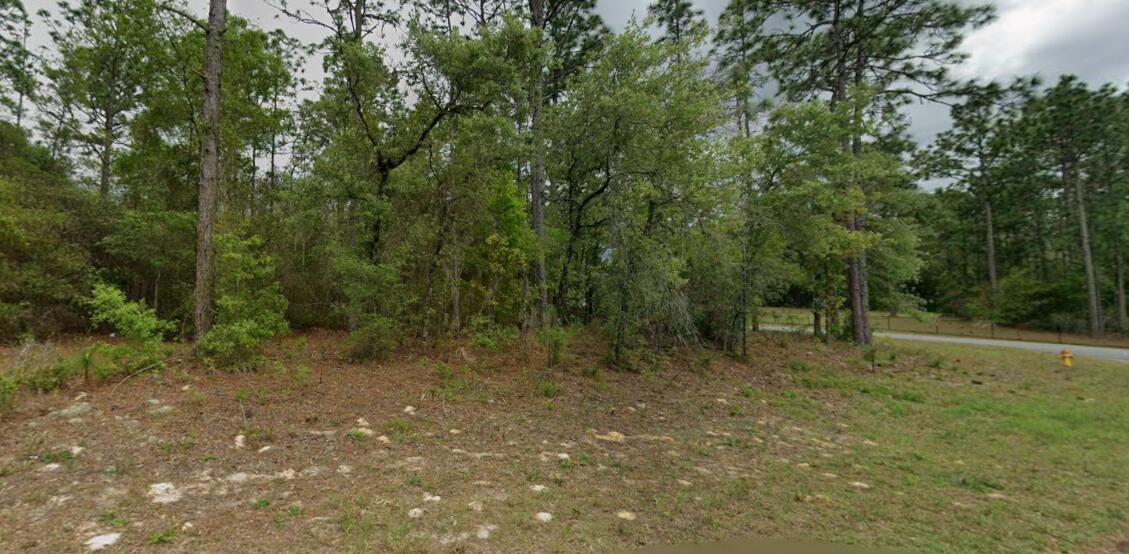 9239 N Marcus Way Property Photo 5