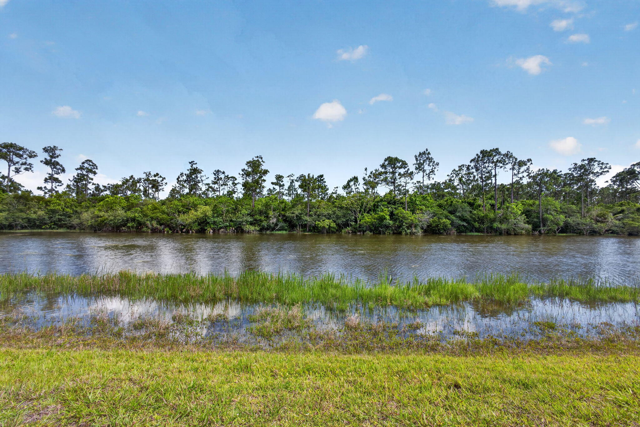 10236 Orchid Reserve Drive Property Photo 33