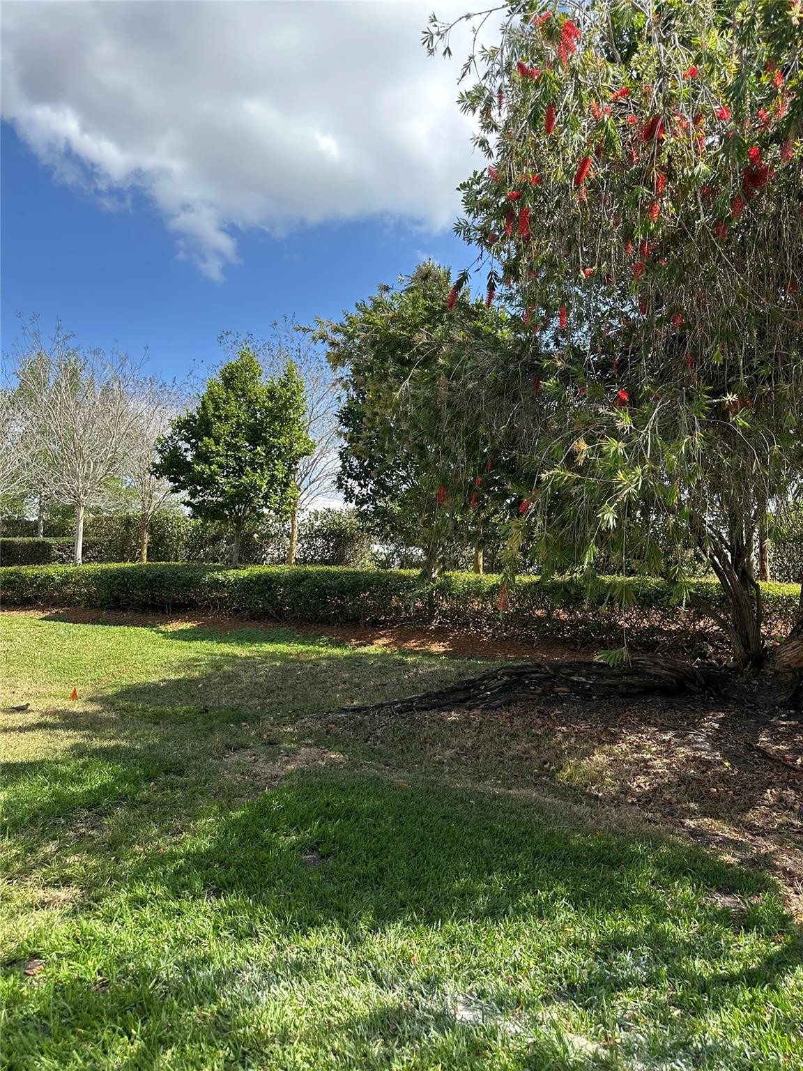 310 Racquet Club Road 103 Property Photo 6