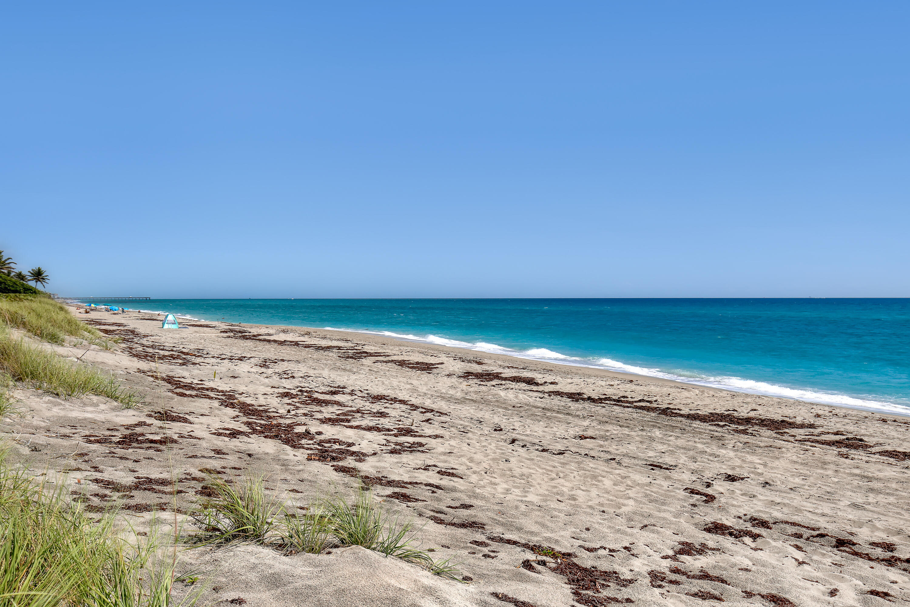 220 Celestial Way 6 Property Photo 45