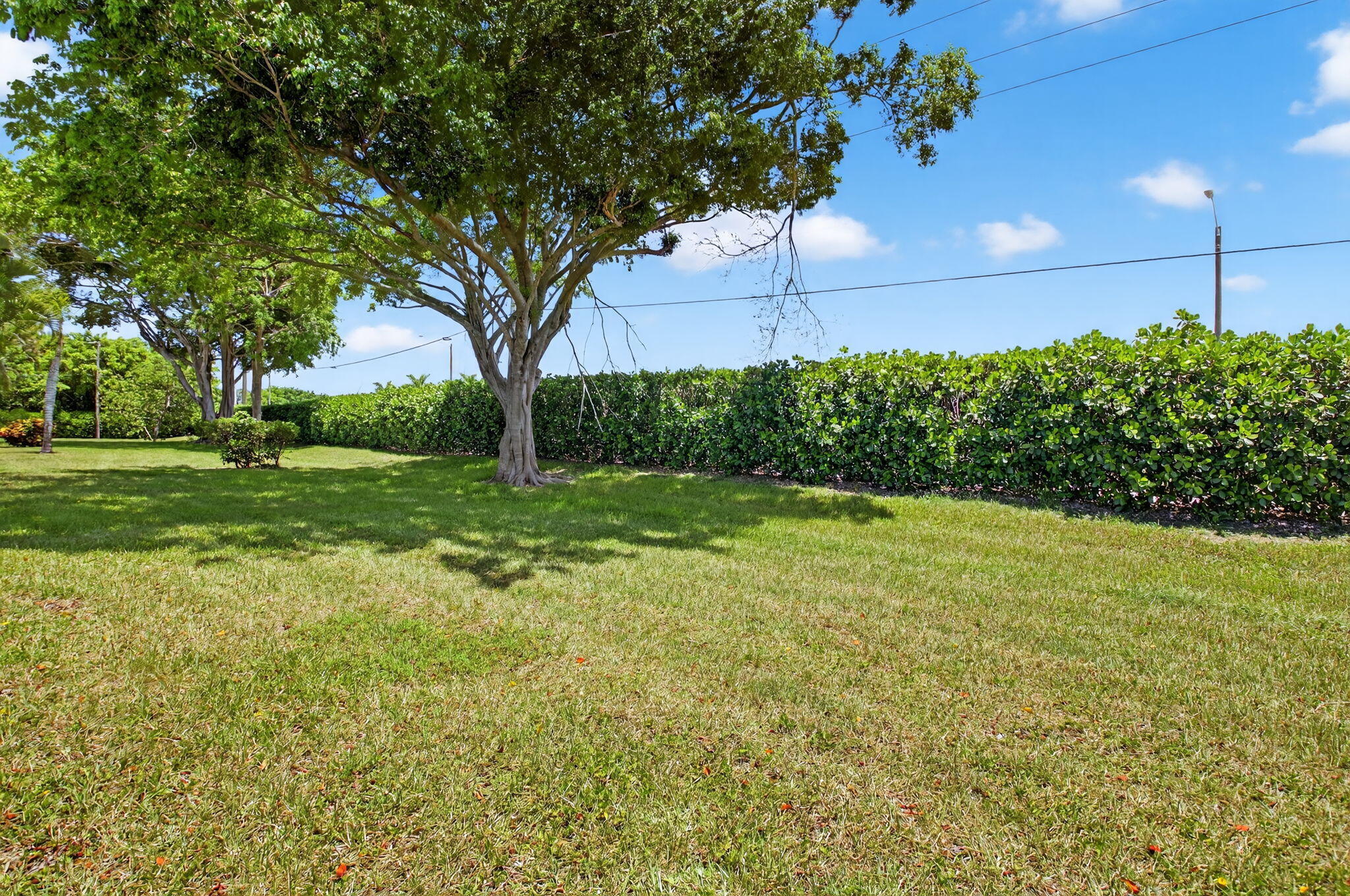 13984 Vía Flora B Property Photo 17