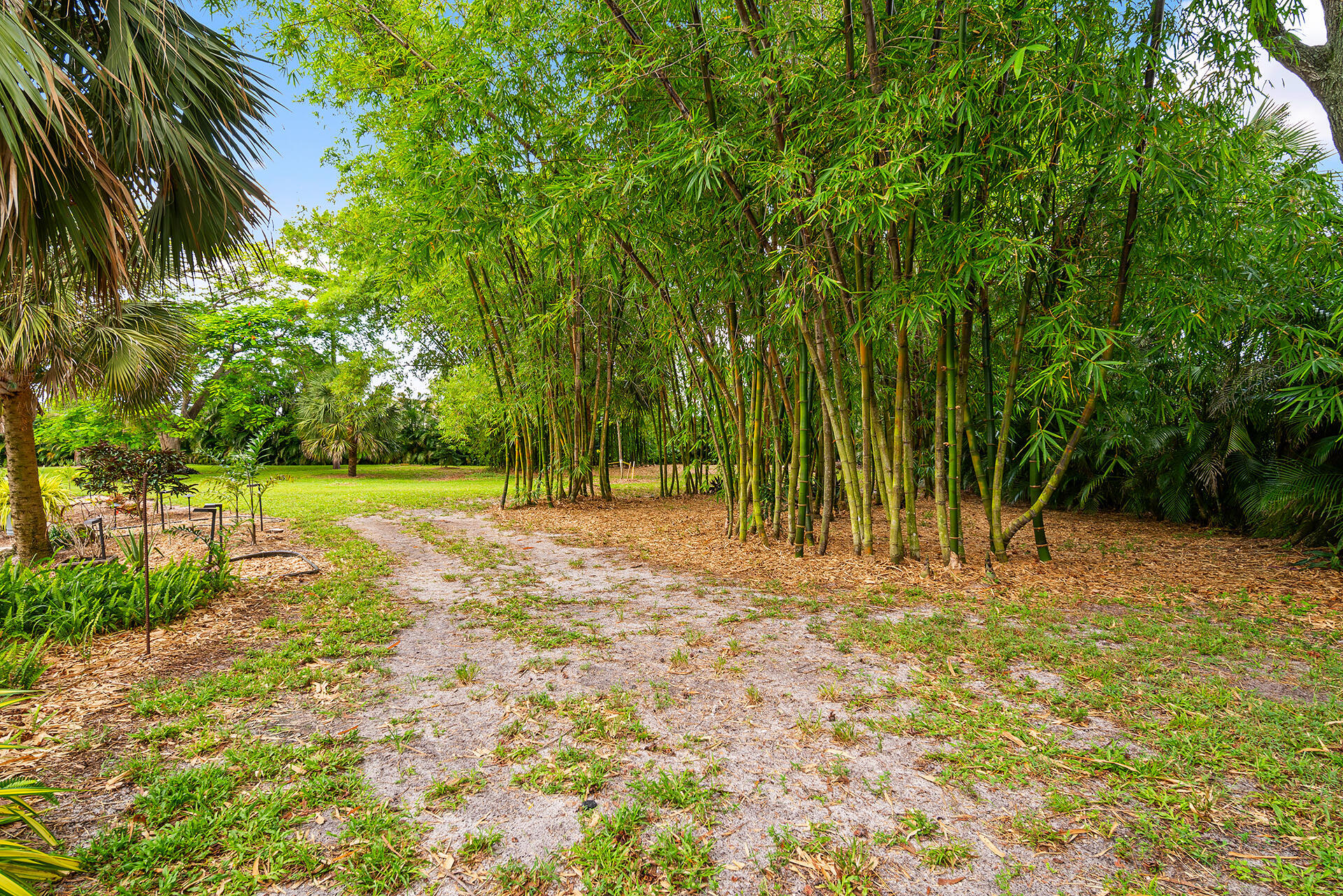 6624 Dillman Road Property Photo 59