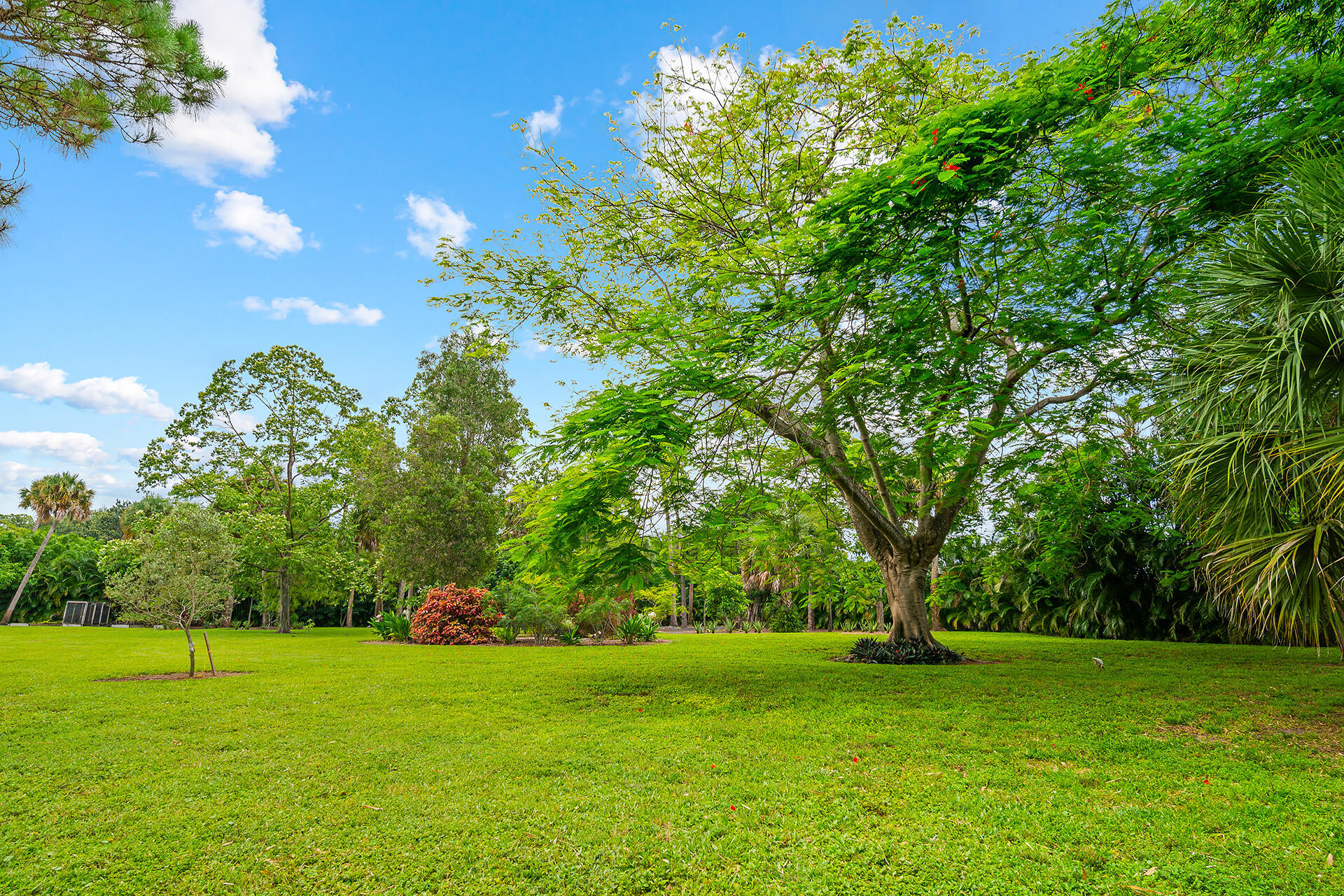 6624 Dillman Road Property Photo 60