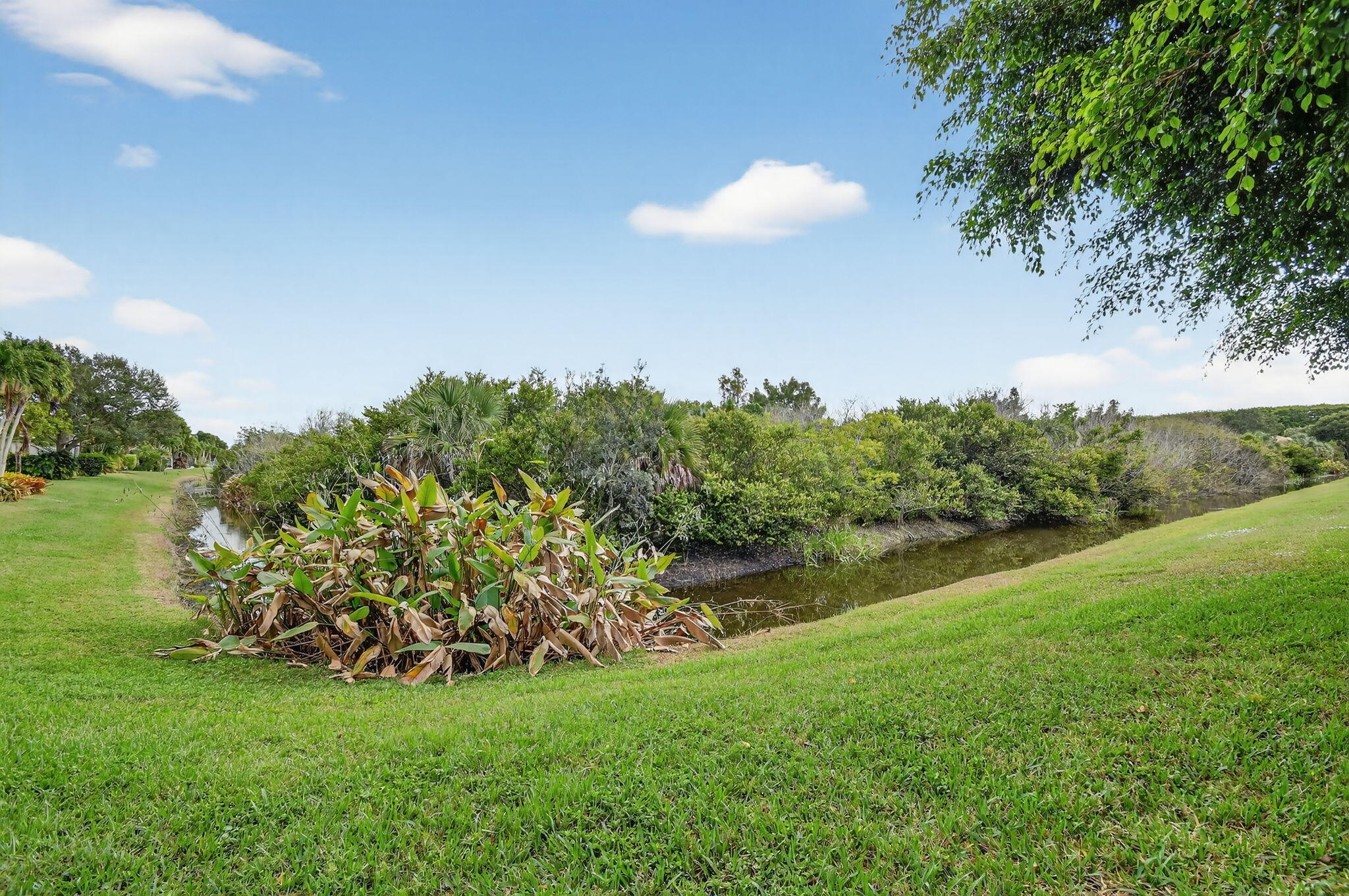 1848 Via Castello Property Photo 60