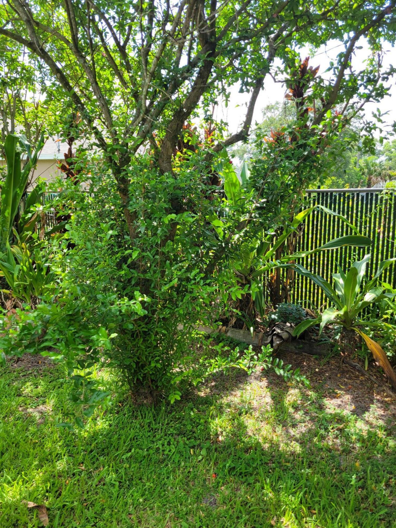 141 Sw Covington Road Property Photo 44