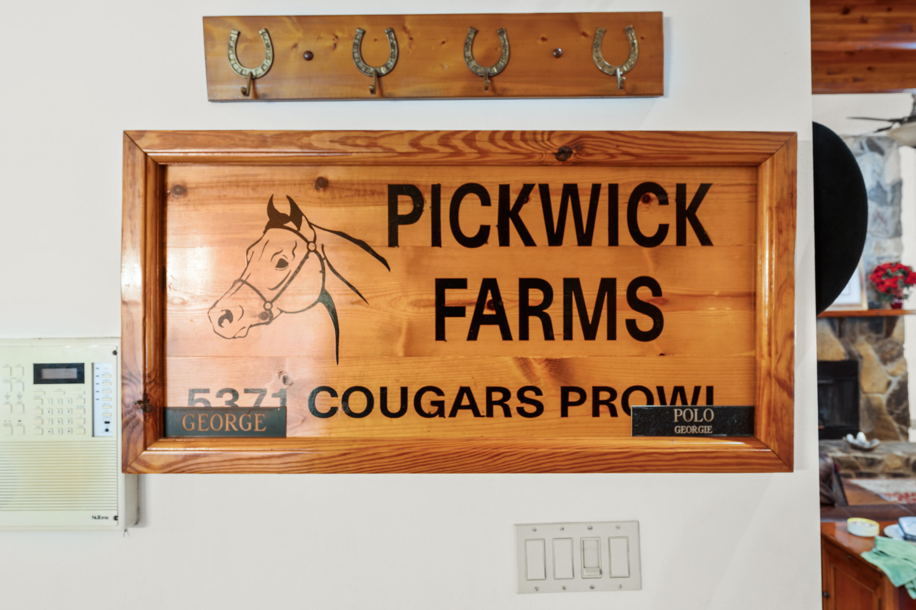 5371 Cougars Prowl Property Photo 29