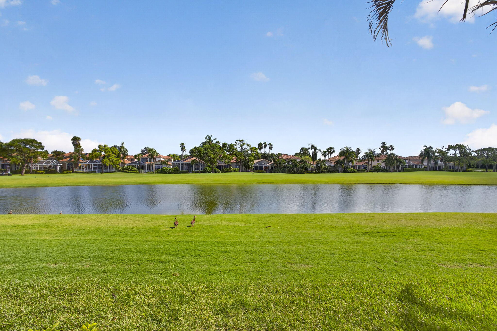 8387 Quail Meadow Way Property Photo 52
