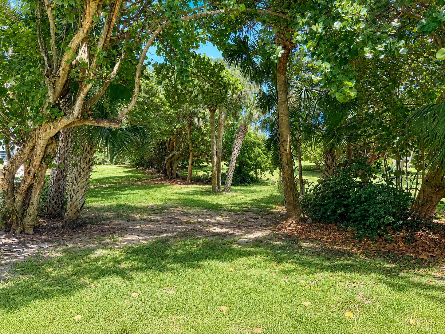 4501 S Ocean Boulevard D4 Property Photo 24