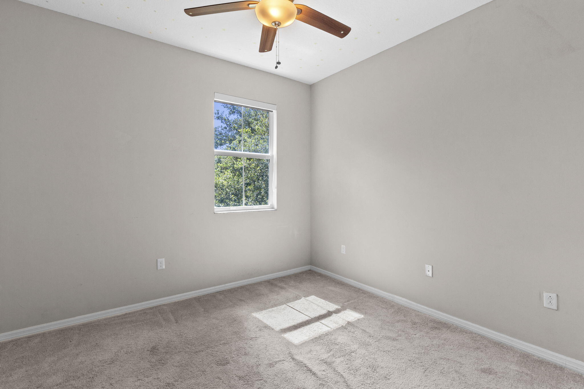 5319 Falcon Trail Property Photo 46