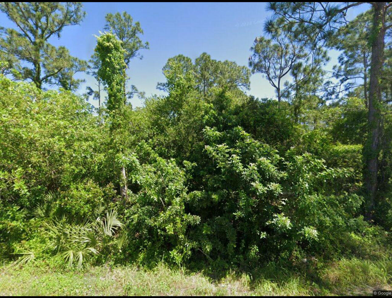 111 Suwannee Lane