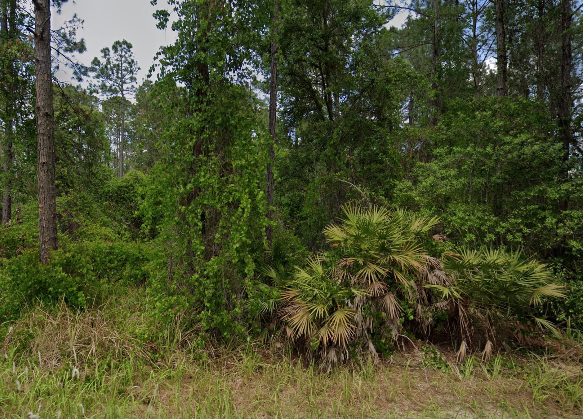 138 Pine Tree Drive Property Photo 2